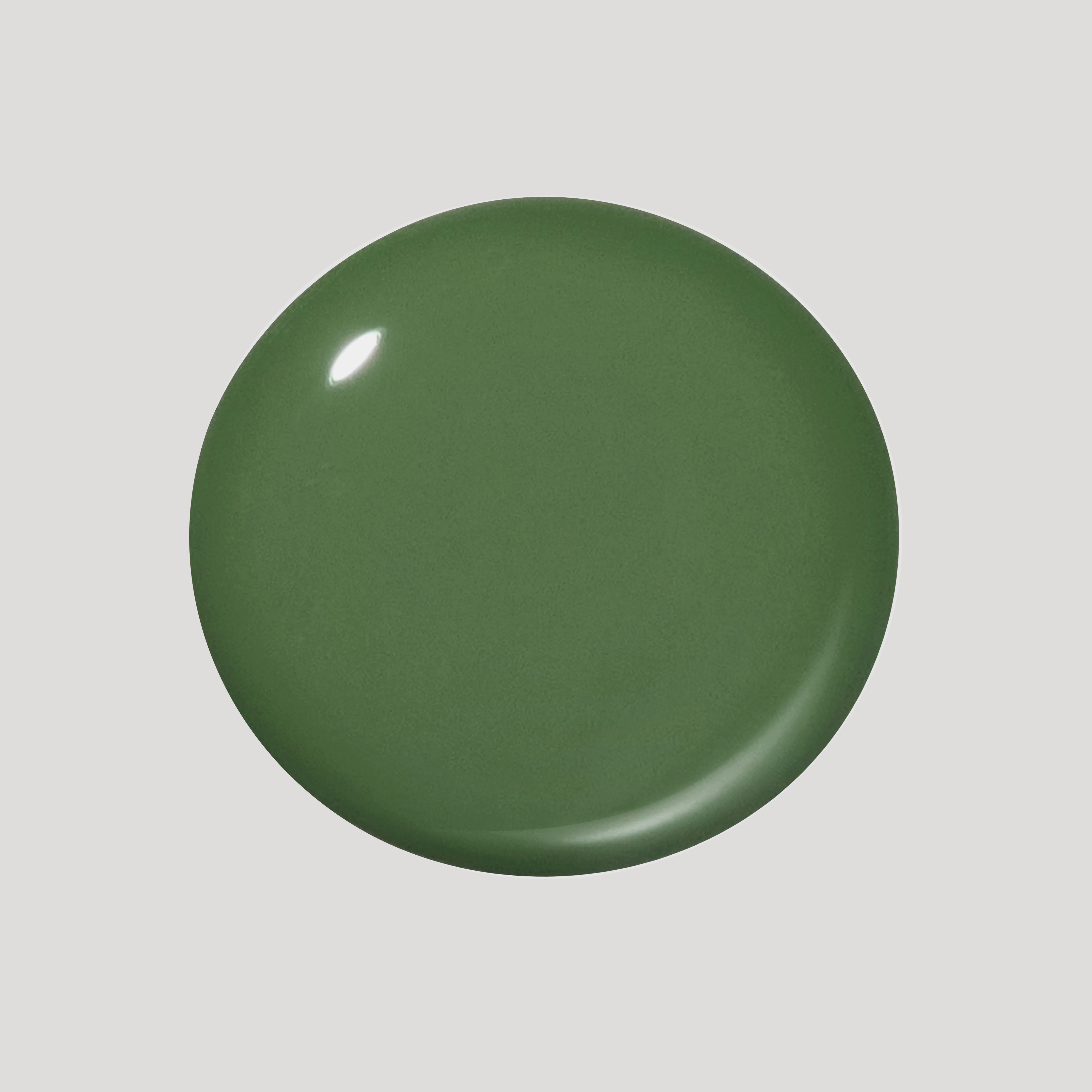 Fern - Image 3