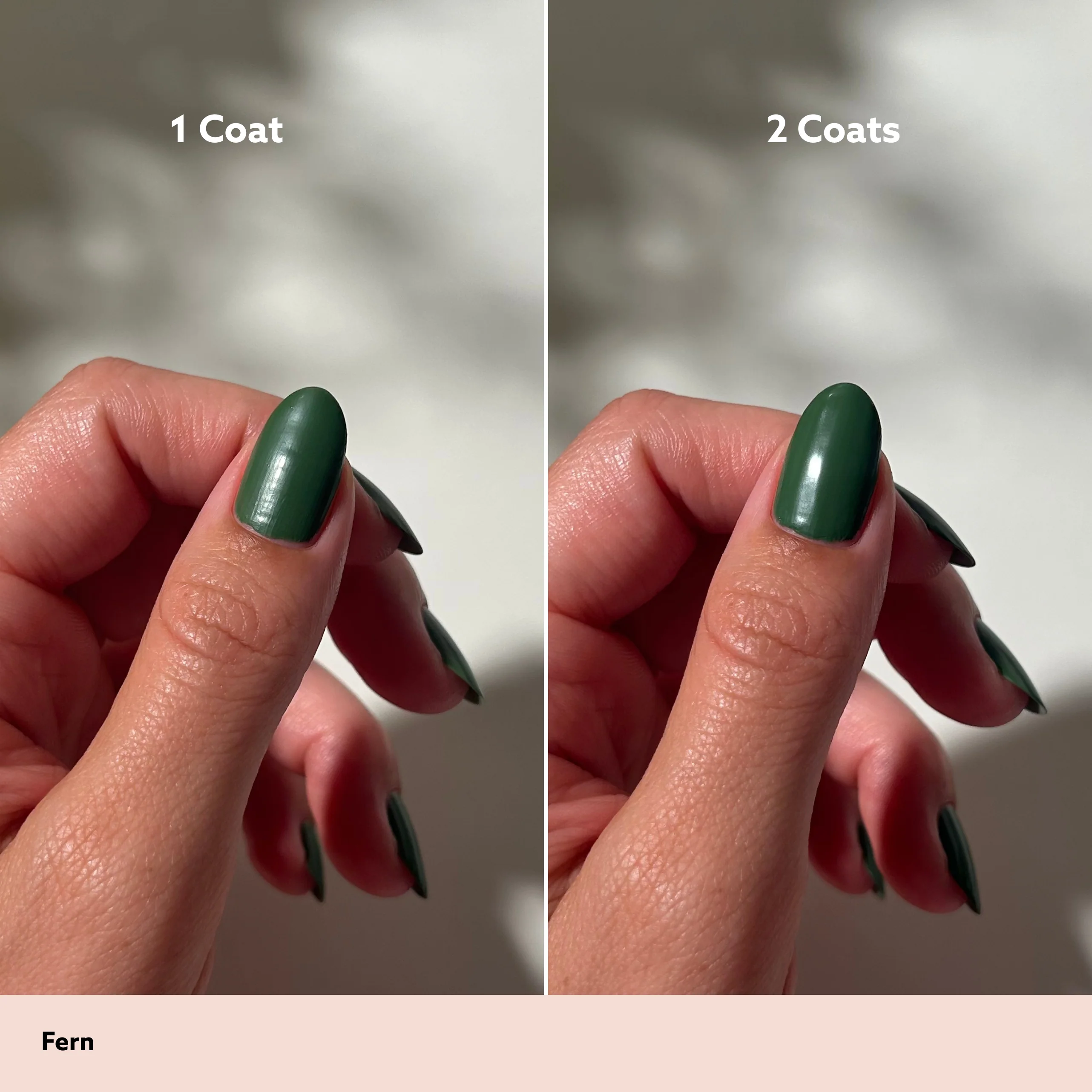Fern - Image 8