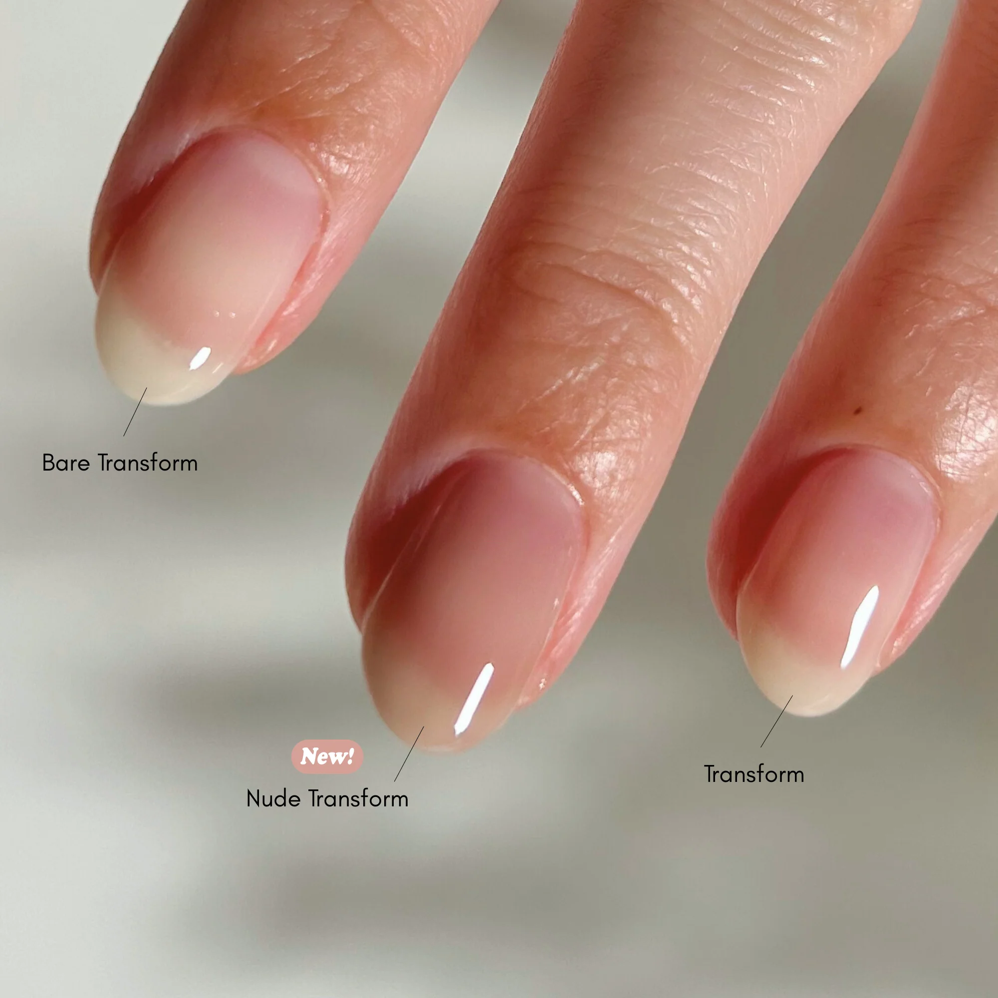 Bare Transform Ridge Filler - Image 4